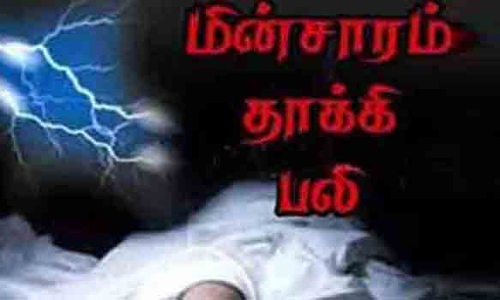 மின்சாரம்  தாக்கி விவசாயி பலி