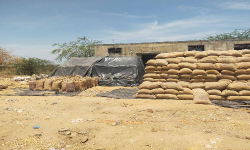 மழை, வெயிலில் தேங்கிக்கிடக்கும் நெல் மூட்டைகள்