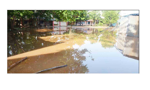 தருமபுரி, கிருஷ்ணகிரியில்   3-வது நாளாக மழை கொட்டியது