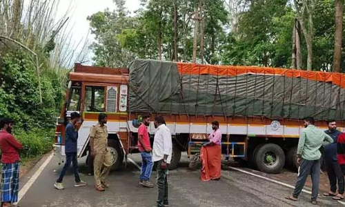 பழுதாகி நின்ற சரக்கு லாரியால் 1 மணி நேரம் போக்குவரத்து பாதிப்பு