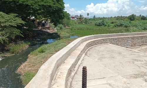 குனியமுத்தூர் அருகே புதர் மண்டி கிடக்கும் நொய்யல் ஆறு