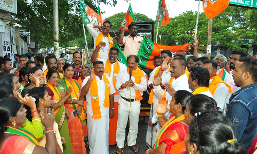 பா.ஜனதாவினர் பேரணி