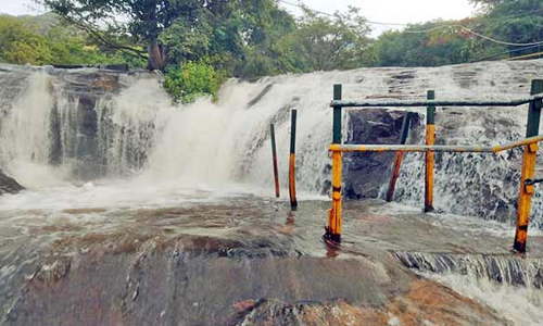 தேனி மாவட்டத்தில் பெய்த கனமழையால் அருவியில் வெள்ளப்பெருக்கு