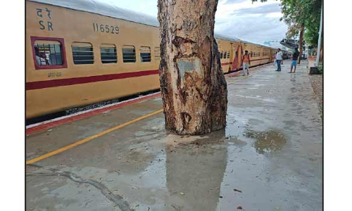 தேனி-மதுரை அகல ரெயில் உள்ளூர் மக்கள் பயன்படும் வகையில் வசதி ஏற்படுத்த வலியுறுத்தல்