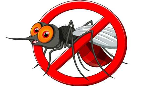 டெங்கு, வைரஸ் காய்ச்சல் தடுப்பு நடவடிக்கை: கலெக்டர் வேண்டுகோள்