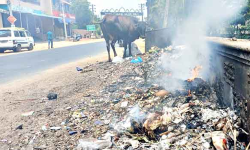 குப்பைகளை அகற்றாமல் தீ வைத்து எரிப்பதால் நோய் பரவும் அபாயம்