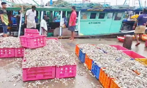 போதிய அளவு மீன்கள் கிடைக்காததால் மீனவர்கள் ஏமாற்றம்