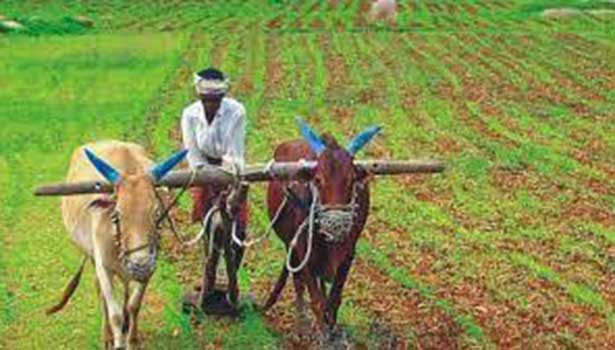 பெரம்பலூரில் நிலம் பிரச்சனை தீர்க்க விசாரணை முகாம் பெரம்பலூரில் நிலம் பிரச்சனை தீர்க்க விசாரணை முகாம்