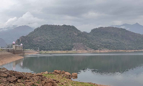 தென்மேற்கு பருவமழை தாமதத்தால் அமராவதி அணைக்கு   நீர்வரத்து குறைந்தது