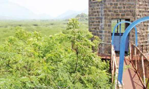 சேலம் மாநகருக்கு குடிநீர் ஆதாரமாக விளங்கிய பனமரத்துப்பட்டி ஏரிைய சீரமைக்க முடிவு