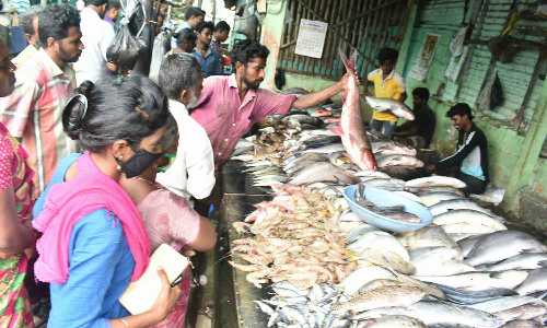 ஈரோட்டில் மீன்கள் விலை உயர்வு