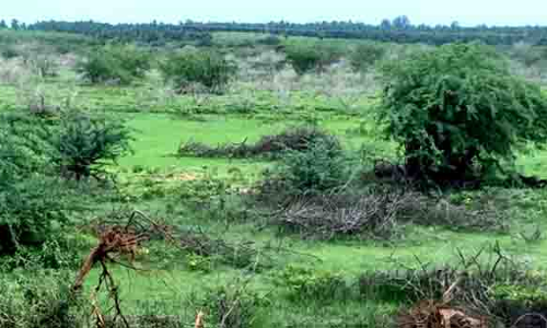 கடலுக்கு வீணாக செல்லும் தண்ணீரை உடன்குடி பகுதி குளங்களுக்கு திருப்பிவிட வேண்டும்-விவசாயிகள் வலியுறுத்தல்