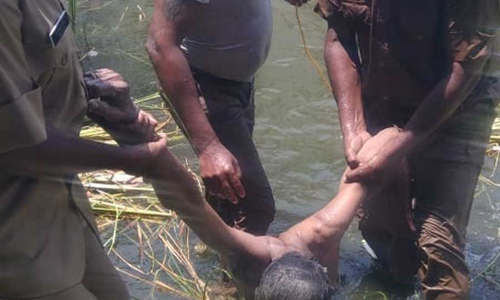 கோவில் குளத்தில் தவறி விழுந்து சாவு