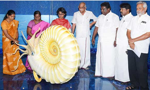 பெரம்பலூரில் கடல்வாழ் உயிரினம் அமோனைட்சுக்கு அருங்காட்சியம்-அமைச்சர் திறந்து வைத்தார்