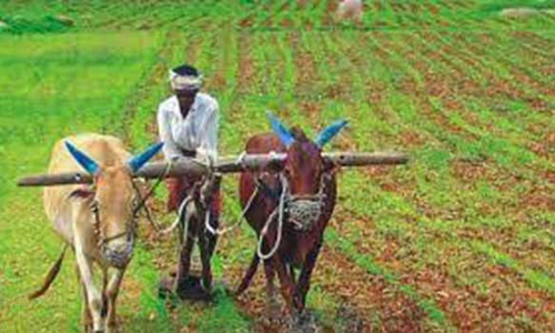 பெரம்பலூரில் நிலம் பிரச்சனை தீர்க்க விசாரணை முகாம்