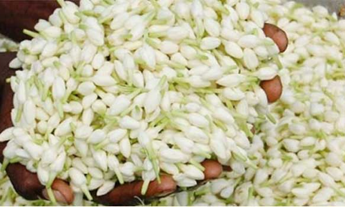 மல்லிகைப்பூ விலை கிடுகிடு உயர்வு