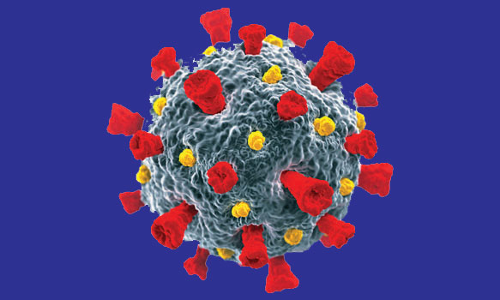 நெல்லையில் இன்று 17 பேருக்கு கொரோனா
