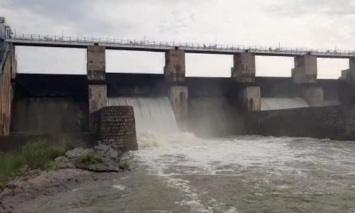 தொடர் மழையால்  ஊத்தங்கரை பாம்பாறு அணை   முழு கொள்ளளவு எட்டியது-  விவசாயிகள் மகிழ்ச்சியடைந்தனர்
