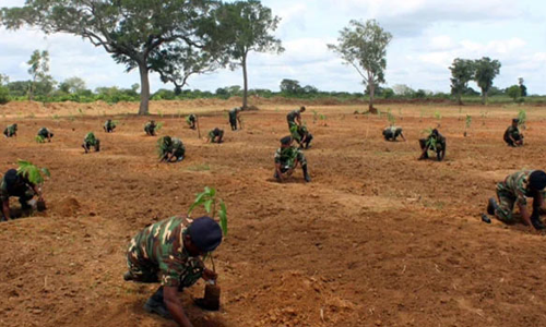 உணவு பொருட்கள் பற்றாக்குறை: விவசாய பணியில் களம் இறங்கிய இலங்கை ராணுவ வீரர்கள்