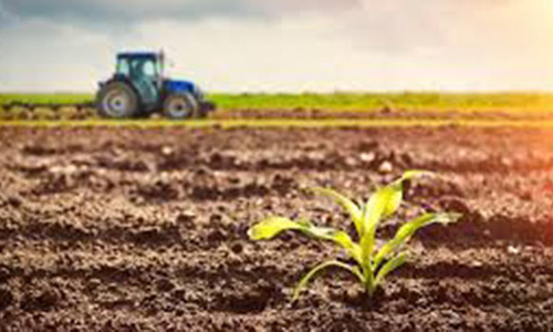 சிறப்பு பொருளாதார மண்டலம் திட்டத்திற்காக கையகப்படுத்தப்பட்ட நிலங்களை விவசாயிகளிடம் ஒப்படைக்கவேண்டும் - மா.கம்யூனிஸ்ட் கட்சி வலியுறுத்தல்