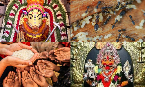 வாழ்க்கையில் ஏற்படும் பல்வேறு பிரச்சனைகளுக்கு தீர்வு தரும் எளிய பரிகாரங்கள்