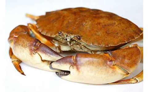 நண்டு விலை குறைந்ததால் மீனவர்கள் அதிர்ச்சி