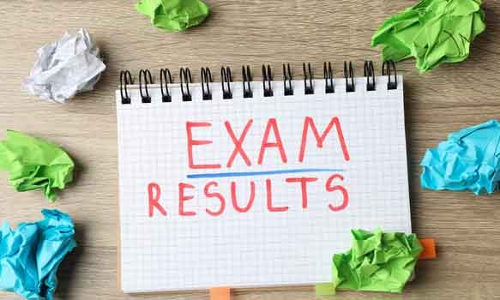 பிளஸ்-2 தேர்வில் விருதுநகர் மாவட்டம் 2-வது இடம்