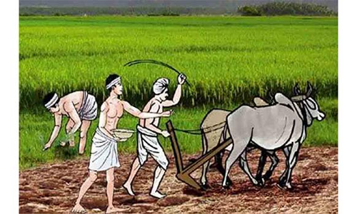 வேளாண் வளர்ச்சி திட்டம் மூலம் விவசாயிகளுக்கு பயிற்சி