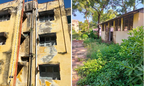 புதர்மண்டி காணப்படும் நீர்மின் பயிற்சி நிலையம்