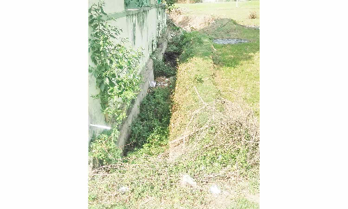 திருவையாறு அருகே ஆக்கிரமிப்பில் இருந்து பாசன வாய்க்காலை மீட்க வேண்டும்