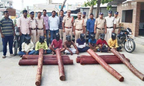 காரில் கடத்திய ரூ.19 லட்சம் செம்மரம் பறிமுதல்- தமிழகத்தை சேர்ந்த 8 பேர் கைது