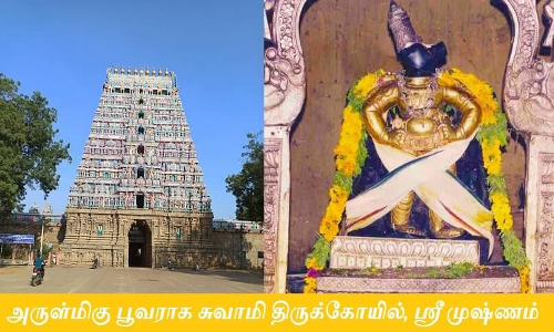 மழலை பாக்கியம் அருளும் ஸ்ரீமுஷ்ணம் பூவராகப் பெருமாள் திருக்கோவில்