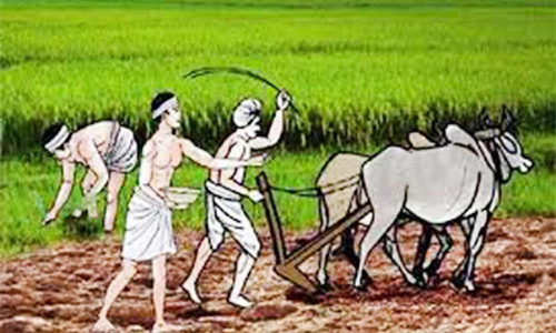தரிசு நிலங்களை விளை நிலங்களாக மாற்ற விவசாயிகளுக்கு அழைப்பு