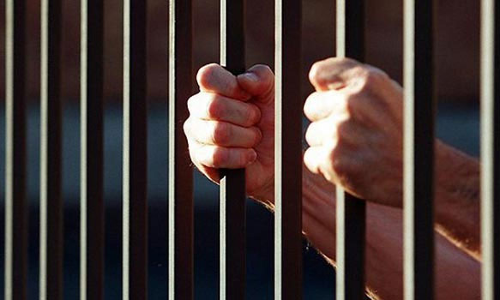 அடிதடி வழக்கில் கைது செய்யப்பட்ட வாலிபருக்கு ஒரு ஆண்டு சிறை தண்டனை