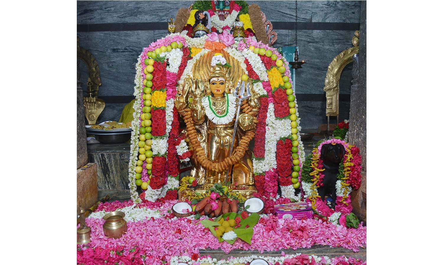 தேய்பிறை அஷ்டமியையொட்டி கால பைரவர் கோவிலில் சிறப்பு பூஜைகள் தேய்பிறை அஷ்டமியையொட்டி கால பைரவர் கோவிலில் சிறப்பு பூஜைகள்