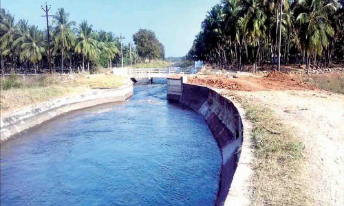 பி.ஏ.பி. கடைமடை பகுதிக்கு தண்ணீர் கிடைக்காமல் தவிக்கும் விவசாயிகள்