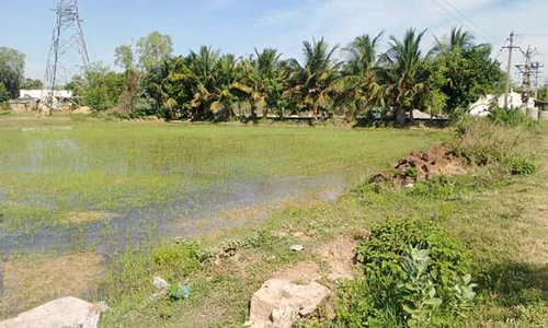 குழாய்களில் உடைப்பு ஏற்பட்டு வீணாகும் குடிநீர்