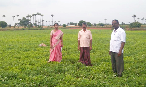 பரமத்தி வட்டாரத்தில் விதைச்சான்று உதவி இயக்குநர் ஆய்வு