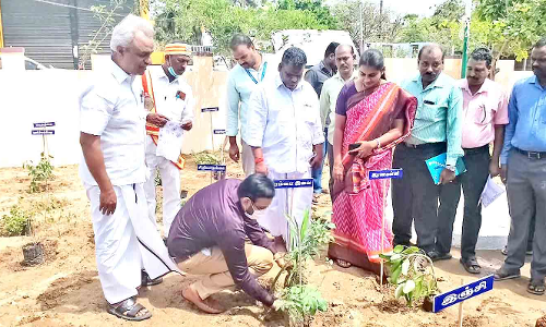 மூலிகை வனம் அமைக்கும் பணி - கலெக்டர் தொடங்கி வைத்தார்