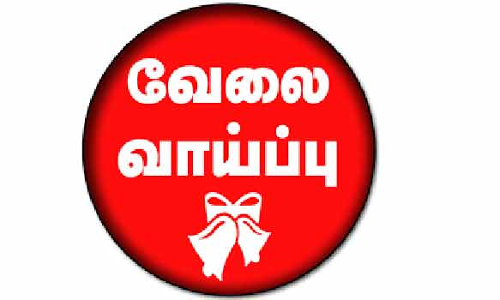 வேலை வாய்ப்பு முகாம் குறித்து விழிப்புணர்வு