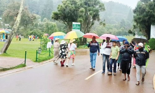 ஊட்டியில்கொட்டும் மழையிலும்  குடைபிடித்தபடி சுற்றுலா தலங்களை ரசிக்கும் சுற்றுலா பயணிகள்