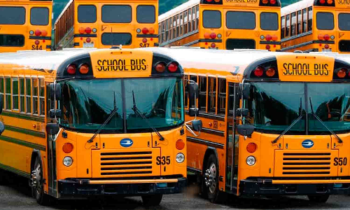 பள்ளி பஸ்கள்  25-ந்தேதி ஆய்வு