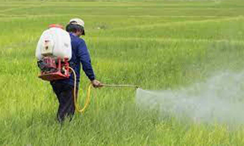 நானோ யூரியா பயன்பாடு குறித்து விவசாயிகளுக்கு விழிப்புணர்வு