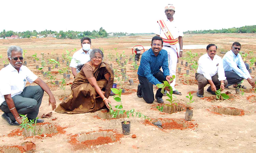 தஞ்சை சமுத்திரம் ஏரியில் பறவைகள் வாழ்விடங்களுக்கு ஏற்ற மரக்கன்றுகள் நடும் விழா - கலெக்டர் தொடங்கி வைத்தார்