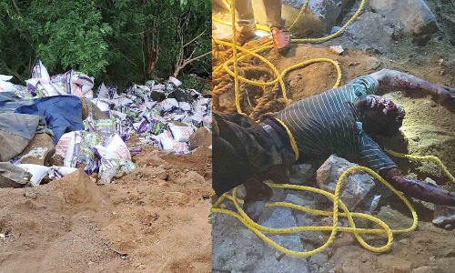 பேரணாம்பட்டு மலைப்பாதையில் 200 அடி பள்ளத்தில் லாரி கவிழ்ந்து டிரைவர் பலி