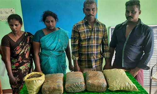 நிலக்கோட்டை அருகே கஞ்சா கடத்திய 4 பேர் கைது