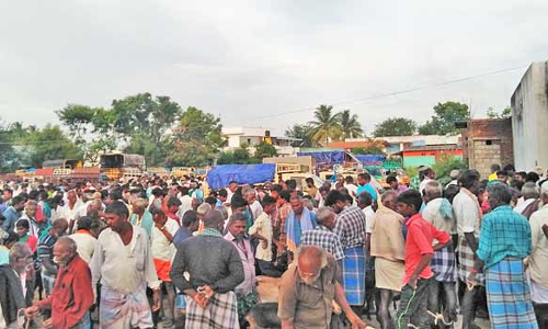 கோவில் திருவிழாக்களால் களை கட்டிய அய்யலூர் ஆட்டுச்சந்தை