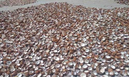 வெள்ளகோவிலில் ரூ. 68 லட்சத்திற்கு தேங்காய் பருப்பு விற்பனை