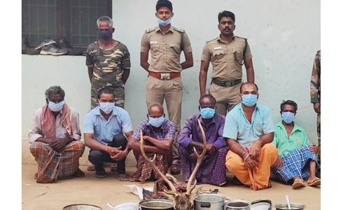 ஆனைகட்டியில் மான் இறைச்சி வைத்திருந்த 11 பேருக்கு அபராதம்