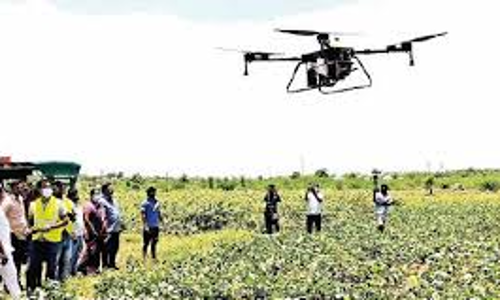 ட்ரோன்கள் மூலம் பூச்சி மருந்து தெளிப்பது குறித்து விவசாயிகளுக்கு பயிற்சி